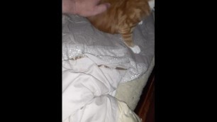Playing with pussy in the morning